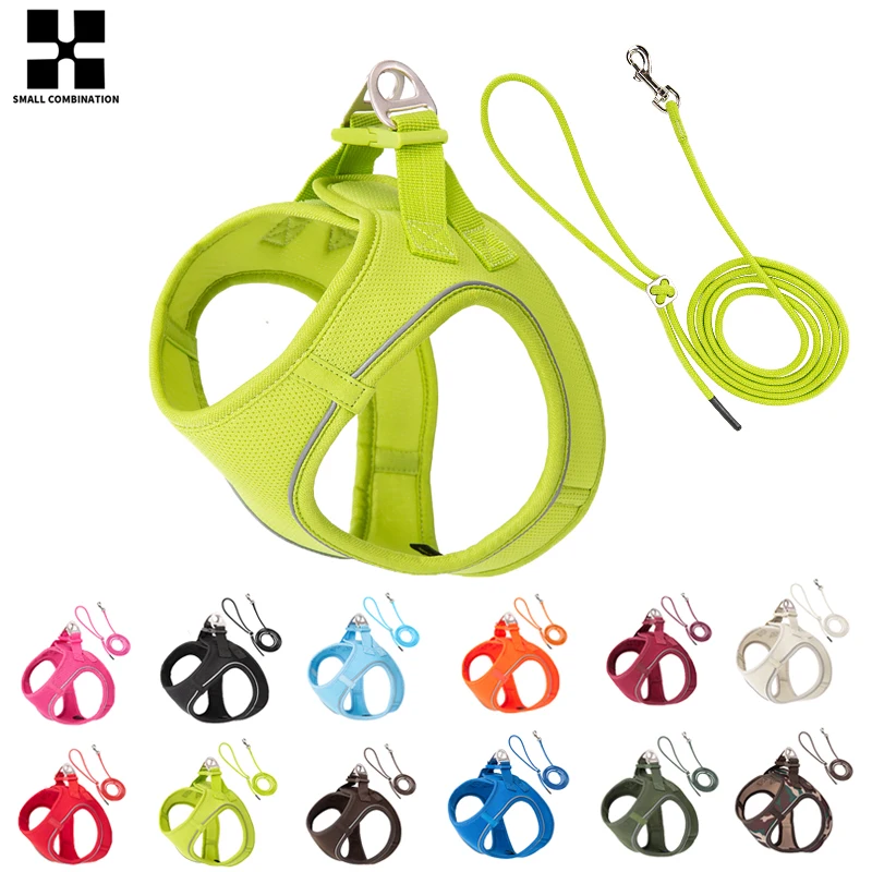 Dog Harness Leash Set for Small Medium Dog